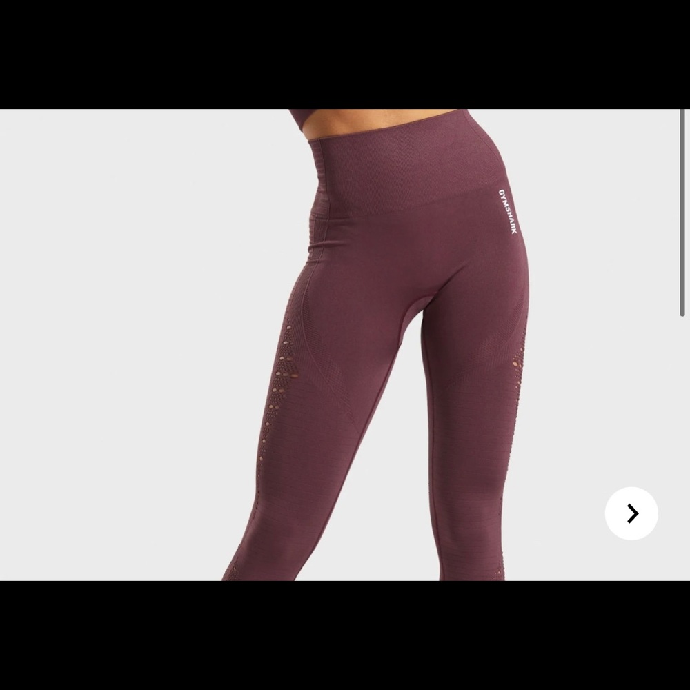 COPY - OG gym shark seamless leggings